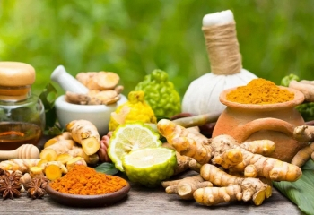 Kerala setting up Rs 400 crore international Ayurveda research centre in Kannur: Veena George