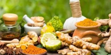 Kerala setting up Rs 400 crore international Ayurveda research centre in Kannur: Veena George