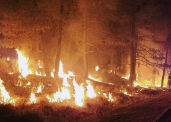 Massive wildfire in California; hundreds of structures at risk