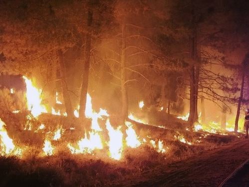 Massive wildfire in California; hundreds of structures at risk