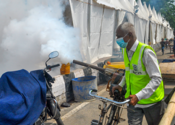Warming climate to surge dengue cases by 76 pc across Asia, Americas by 2050: Study