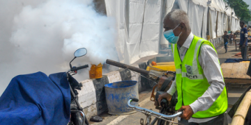Warming climate to surge dengue cases by 76 pc across Asia, Americas by 2050: Study