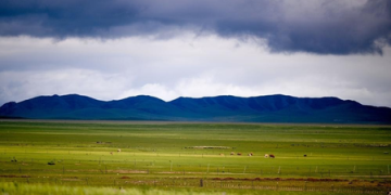Two more bubonic plague cases reported in Mongolia’s Khuvsgul