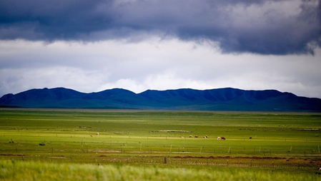 Two more bubonic plague cases reported in Mongolia’s Khuvsgul