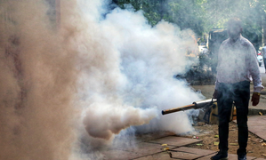 Dengue cases rise in TN’s Krishnagiri, govt steps up preventive measures