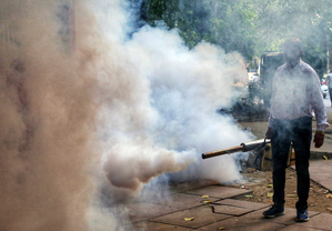 Dengue cases rise in TN’s Krishnagiri, govt steps up preventive measures