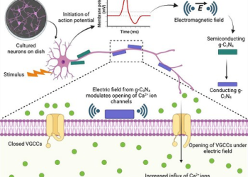 INST researchers develop nanomaterial that stimulates brain cells without surgery