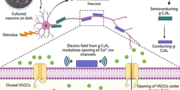 INST researchers develop nanomaterial that stimulates brain cells without surgery