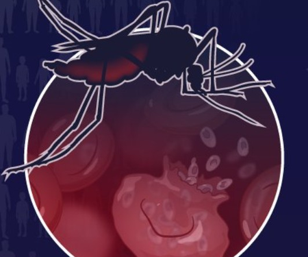 Alert in Kerala’s Malappuram after 3 of a migrant worker family test positive for malaria