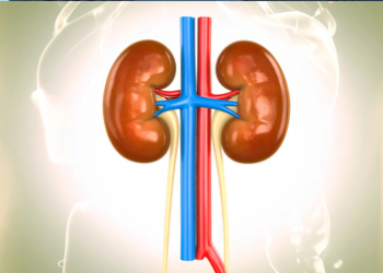 Young night shift workers more at risk of developing kidney stones: Study