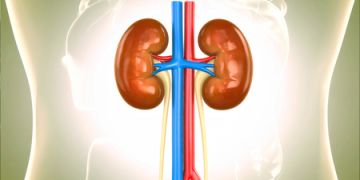Young night shift workers more at risk of developing kidney stones: Study