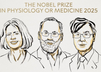 US, Japanese scientists awarded 2025 Nobel Prize for Medicine for discovery on immune system