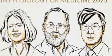 US, Japanese scientists awarded 2025 Nobel Prize for Medicine for discovery on immune system