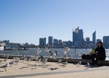 Climate Change linked to nearly 100,000 deaths from 2023 Heatwaves, global study finds