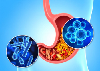 A healthier gut may help improve depression and anxiety, says study