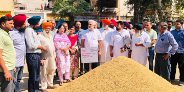 Central Teams to Visit Punjab Mandis to Assess Effect of Rains on Grain: Food Minister Lal Chand Kataruchak