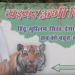 ‘Tiger Abhi Zinda Hai, Hindu Muslim Sikh Isai, thanks to all’: Posters at CM Nitish’s residence