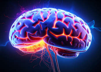 Parkinson’s disease causes progressive changes in brain’s blood vessels: Study