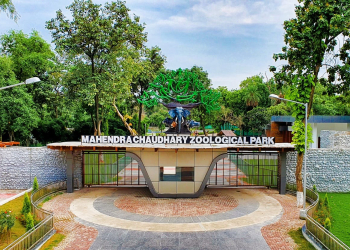 Forest & Wildlife Preservation Department paying Special attention to dietary needs of animals in Chhatbir Zoo during winters