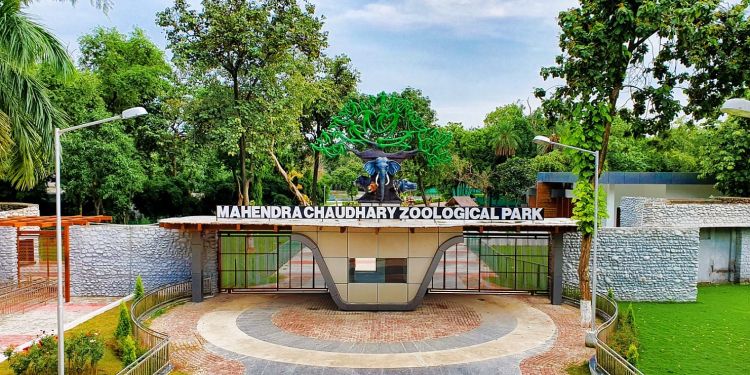 Forest & Wildlife Preservation Department paying Special attention to dietary needs of animals in Chhatbir Zoo during winters