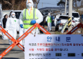 S. Korea confirms 8th highly contagious bird flu case of season