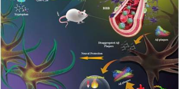 INST researchers develop new nanoparticle-based multifunctional therapy for Alzheimer’s