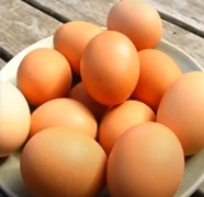Eggs safe for consumption; cancer risk claims misleading, not scientific, says FSSAI