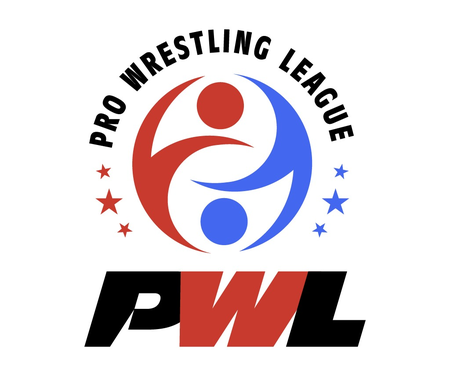 Pro Wrestling League player auctions to be held on Jan 3; organisers unveil six franchises