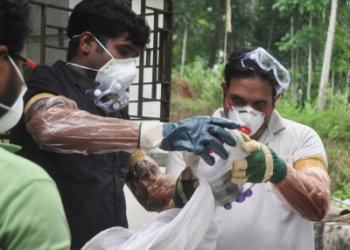 New Nipah virus vaccine safe, generates immune response: The Lancet