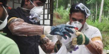 New Nipah virus vaccine safe, generates immune response: The Lancet