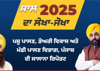 PUNJAB ANIMAL HUSBANDRY DEPT SAILS TO SUCCESS AMID FLOODS IN 2025
