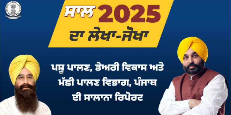 PUNJAB ANIMAL HUSBANDRY DEPT SAILS TO SUCCESS AMID FLOODS IN 2025