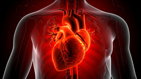 Study shows heart disease deaths surge in patients with cancer