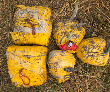 20 kg heroin seized in Punjab; four arrested