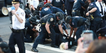 Dozens of protests against ICE held across US California