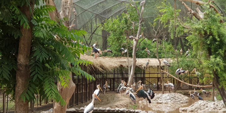 80,508 Visitors in 2 Months as Bhagwant Singh Mann Govt’s Wildlife Conservation Drive Gains Momentum: Lal Chand Kataruchak