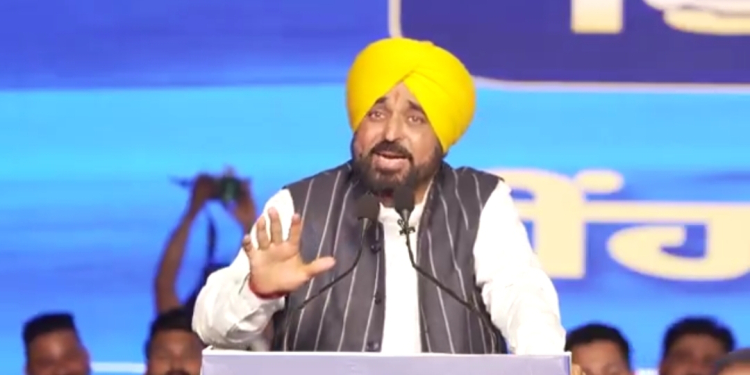 North India’s first Glass Bridge to be built over Nangal Lake: CM Bhagwant Singh Mann