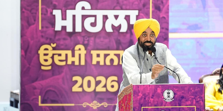 Women who run homes must now run country, says CM Bhagwant Singh Mann, calls for greater role in politics while felicitating women entrepreneurs