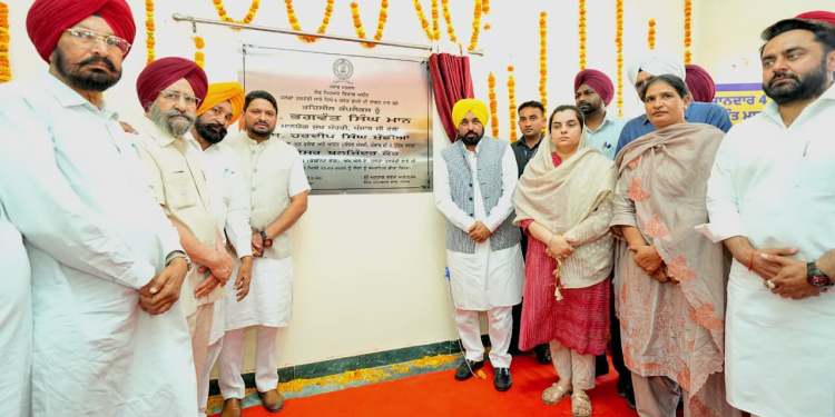 Daughters lead Punjab’s ‘Shikhya Kranti’, secure 19 of top-20 ranks in PSEB’ Class 8 results: CM Bhagwant Singh Mann