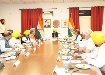 Punjab Cabinet