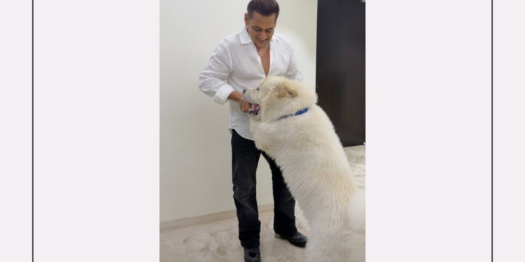 Salman Khan shares a glimpse of his midnight ‘sukh’