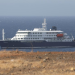 Two Indians on Hantavirus-hit Cruise Ship are safe: Embassy