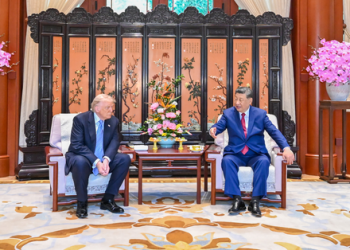 Xi opposes Taiwan independence: Trump