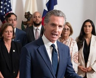 California Governor appoints Indian American to Structural Pest Control Board