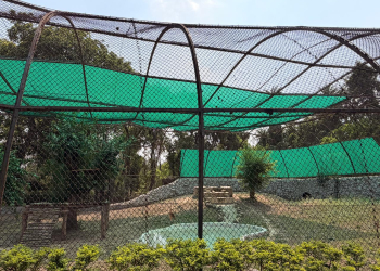 Chhatbir Zoo ensures comprehensive arrangements for providing respite to animals from scorching summer heat: Lal Chand Kataruchak
