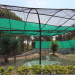 Chhatbir Zoo ensures comprehensive arrangements for providing respite to animals from scorching summer heat: Lal Chand Kataruchak