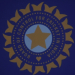 ‘Not a public authority’: BCCI not covered under RTI Act, rules CIC