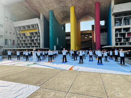 Punjab and Haryana High Court judges, advocates perform yoga