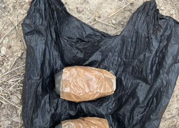 TWO LINKED TO CROSS-BORDER TERROR MODULE HELD WITH TWO HAND GRENADES IN AMRITSAR