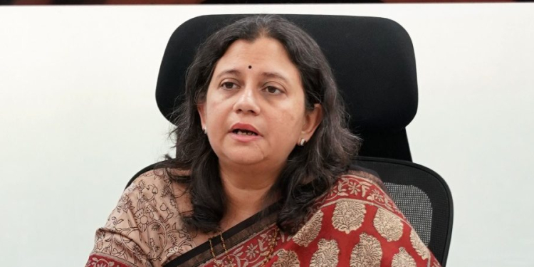 CEO Punjab